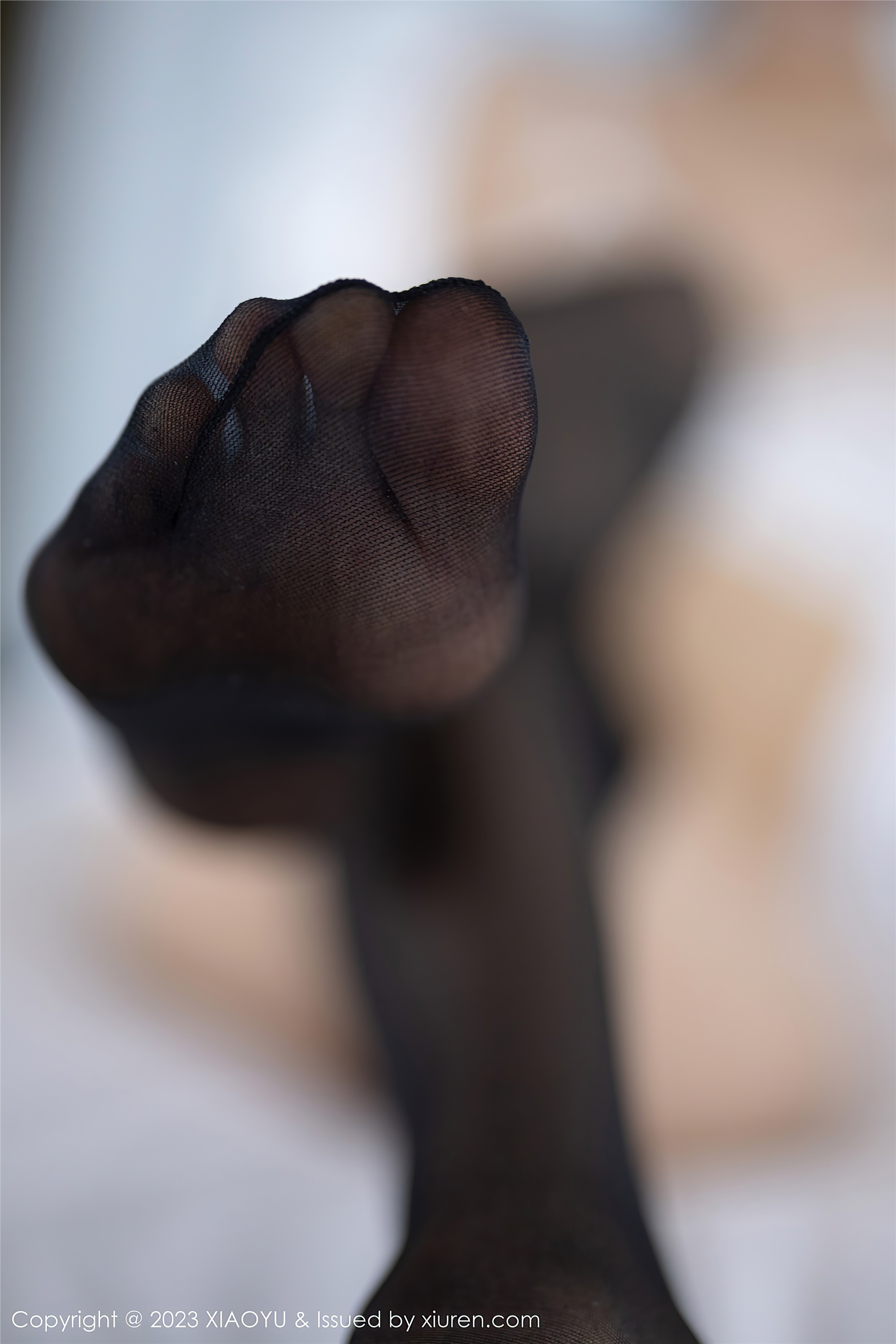 XiaoYu语画界  2023.04.12 VOL.1005 苏苏阿